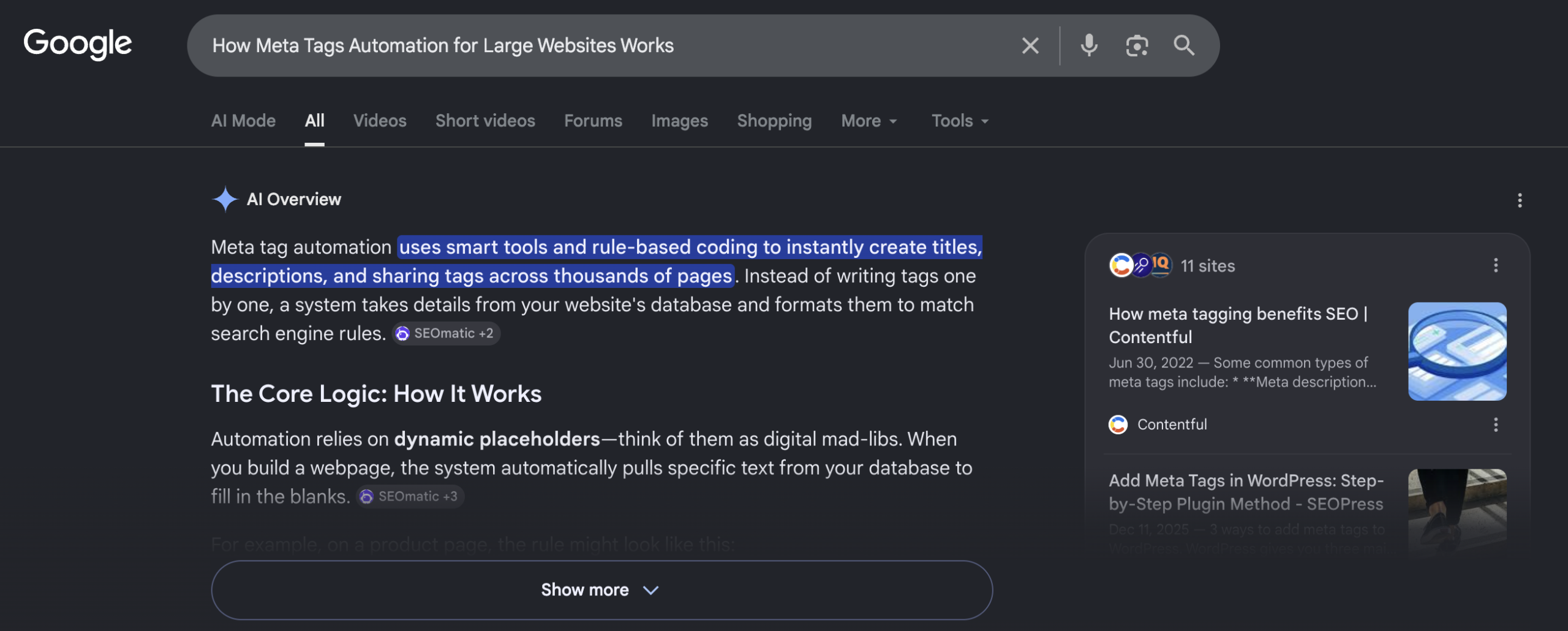 How Meta Tags Automation for Large Websites Works