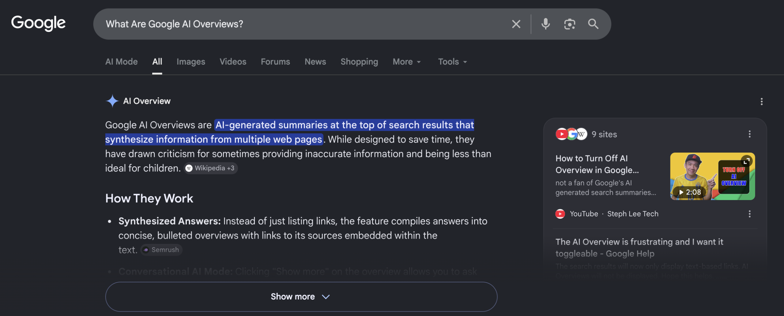 What Are Google AI Overviews?